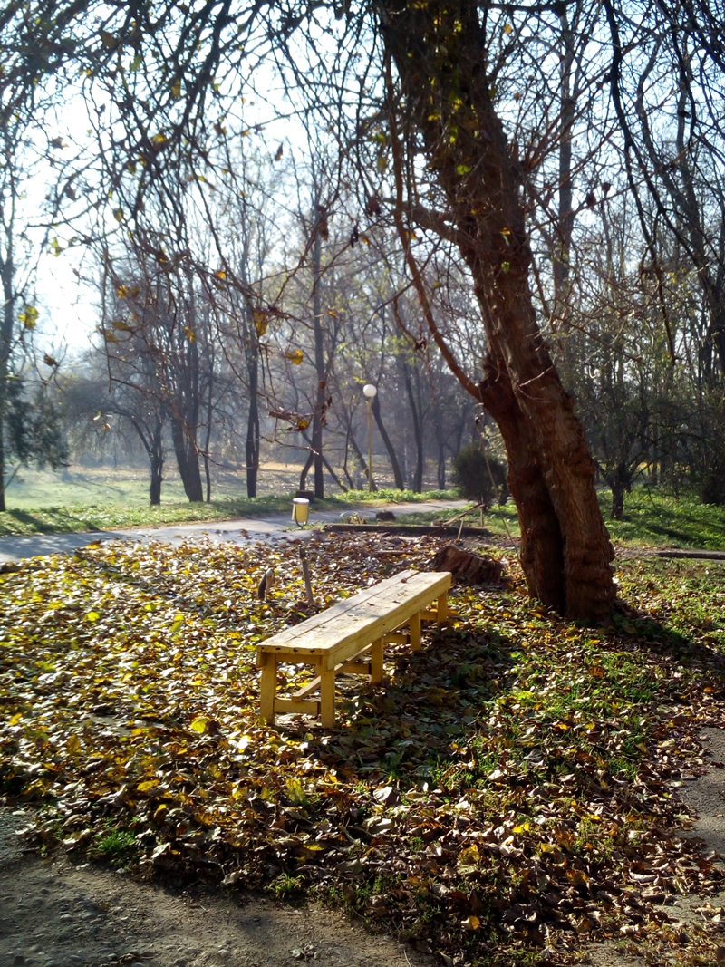 Пейка в двора на ДПБ Св. Иван Рилски